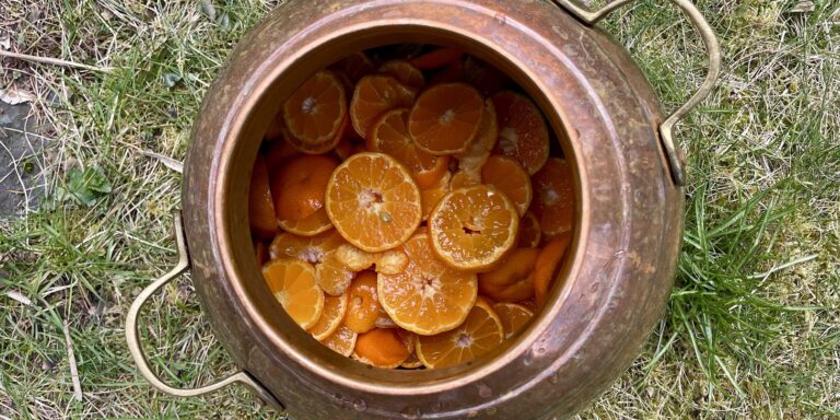 Mandarin Hydrolat Distillation