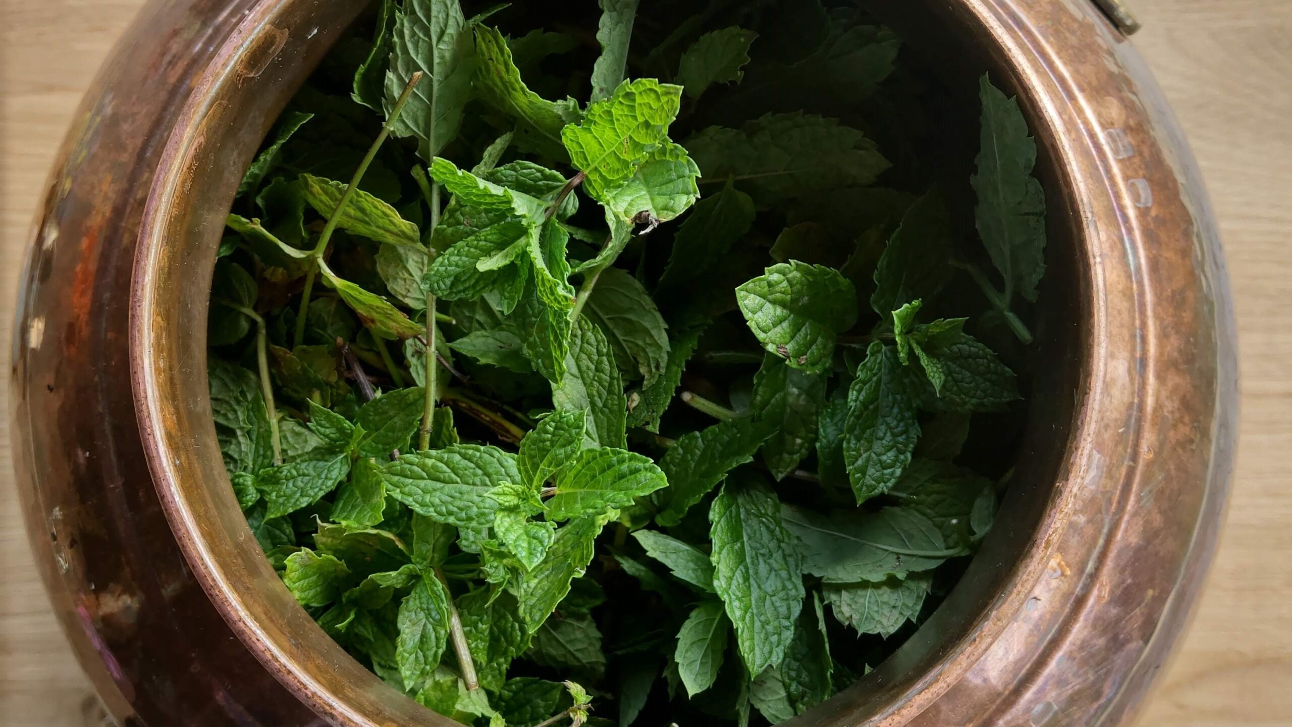 Preparation of Spearmint Hydrolat