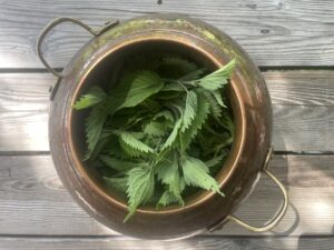 Nettle Hydrolate
