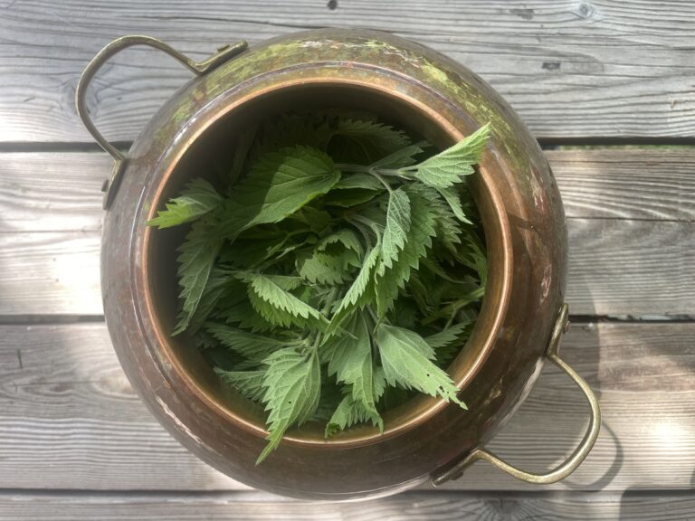 Nettle Hydrolate